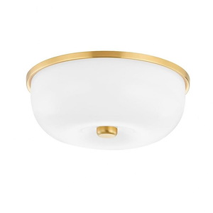 Wendy 2 Light Flush Mount in Modern style 5 Inches Tall and 14 Inches Wide