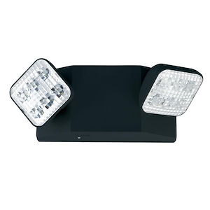12.25 Inch 2W 2 LED Emergency Light with Remote Capability