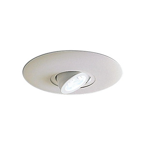Accessory - 6 Inch Surface Adjustable Round Spot with Trim