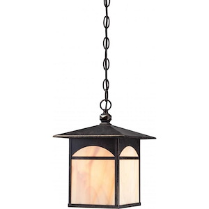 Canyon-One Light Outdoor Hanging Lantern-9 Inches Wide by 12.75 Inches High