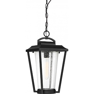Lakeview-1 Light Outdoor Hanging Lantern in Transitional Style-9 Inches Wide by 18.25 Inches High - 1004190
