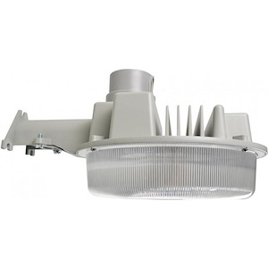 10 Inch 60W 1 LED Outdoor Area Light