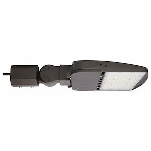 120V 100W LED Type V Outdoor Area Light In Utilitarian Style-3.11 Inches Tall and 12.4 Inches Wide
