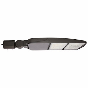 120V 240W LED Type IV Outdoor Area Light In Utilitarian Style-3.11 Inches Tall and 12.39 Inches Wide