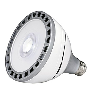 Accessory - 5 Inch 18W 3000K PAR38 LED Medium Base Replacement Lamp