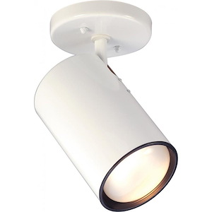 One Light Flush Mount-10 Inches High