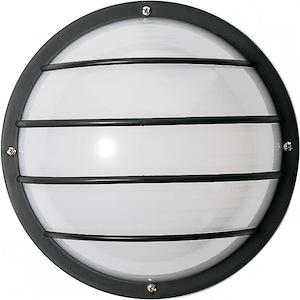 One Light Round Cage Outdoor Wall Mount-10 Inches High