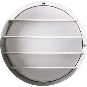 One Light Round Cage Outdoor Wall Mount-10 Inches High