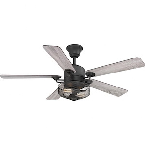 Greer - Wide - Ceiling Fan - 2 Light - Handheld Remote in Transitional style - 54 Inches wide by 20 Inches high