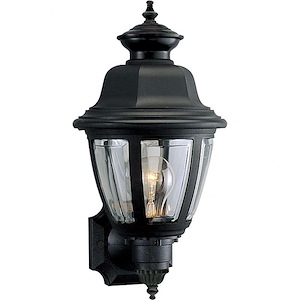 Non-Metallic Incandescent - Outdoor Light - 1 Light in Traditional style - 8 Inches wide by 16 Inches high