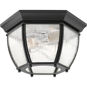 Roman Coach - Outdoor Light - 2 Light - Curved Panels Shade in Traditional style - 11 Inches wide by 6.19 Inches high - 352692