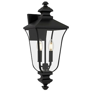 Farley - 15W 2 LED Outdoor Wall Lantern-20 Inch Tall and 8 Inch Wide - 1393954