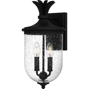 Havana - 2 Light Outdoor Wall Lantern In Coastal Style-16.25 Inches Tall and 8 Inches Wide