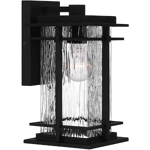 McAlister - 1 Light Outdoor Wall Lantern In Transitional Style-11.75 Inches Tall and 6.25 Inches Wide made with Coastal Armour
