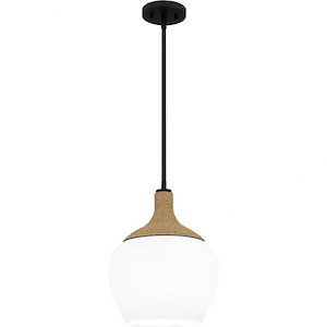Royer - 1 Light Mini Pendant In Transitional Style-15.5 Inches Tall and 12 Inches Wide