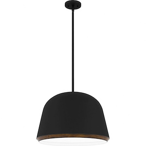 Tamara - 4 Light Pendant In Modern Style-15 Inches Tall and 20 Inches Wide