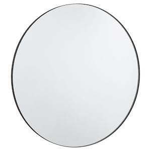 Round Mirror-42 Inches Tall and 42 Inches Wide
