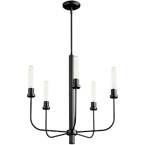 Sheridan - 5 Light Chandelier In Soft Contemporary Style-25 Inches Tall and 24.5 Inches Wide
