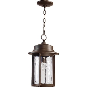 Charter - 1 Light Outdoor Hanging Lantern in style - 9.5 inches wide by 15.75 inches high