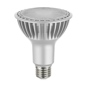 4.45 Inch 20.5W PAR30LN High Lumen LED Replacement Lamp
