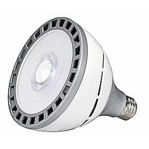 Accessory - 18W LED PAR38 3000K Replacement Lamp