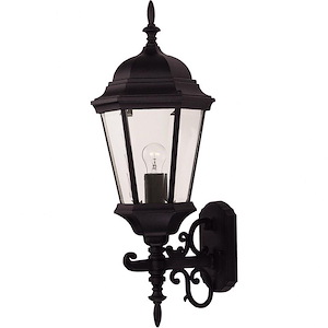 1 Light Outdoor Wall Lantern-Traditional Style with Transitional Inspirations-26 inches tall by 9 inches wide
