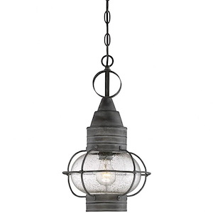 1 Light Outdoor Hanging Lantern-Nautical Style with Modern Farmhouse and Rustic Inspirations-16.87 inches tall by 9.75 inches wide - 1149484