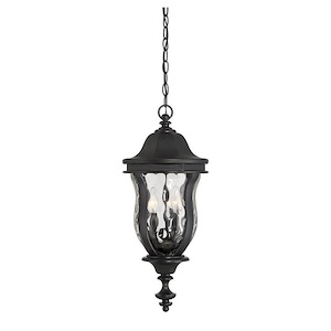 3 Light Outdoor Hanging Lantern-Traditional Style with Country French and Transitional Inspirations-24 inches tall by 10.13 inches wide - 1217319