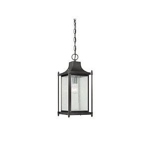 1 Light Outdoor Hanging Lantern-Transitional Style with Modern Farmhouse and Contemporary Inspirations-18.75 inches tall by 8 inches wide - 393471