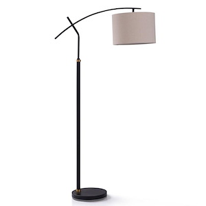 Dudley - 1 Light Floor Lamp with Black and Brass Metal Accents - 1020958