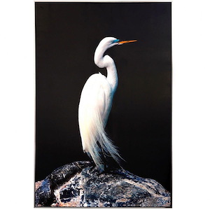 Heron Silhouette Sight - Framed Canvas Wall Art In Coastal-Global Style-60 Inches Tall and 40 Inches Wide