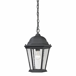 Temple Hill - 1 Light Outdoor Pendant-14 Inches Tall and 10 Inches Wide - 1336259