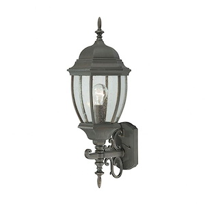 Covington - One Light Outdoor Wall Lantern - 273718