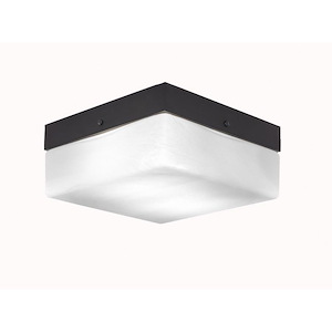 Any - 2 Light Flush Mount-4.5 Inches Tall and 10 Inches Wide