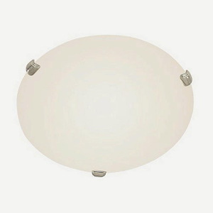 Back to Basics - Two Light Flush Mount with 3 Clip - 1209647