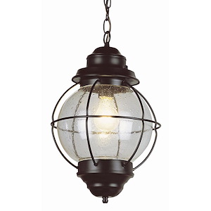 One Light Outdoor Medium Hanging Lantern - 186709