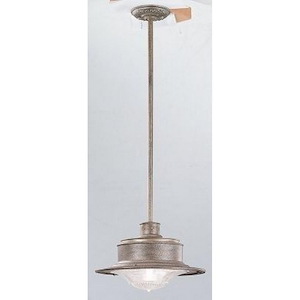 South Street-1 Light Outdoor Medium Hanging Lantern-13.5 Inches Wide by 8.25 Inches High