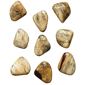 Pebbles - Wood Wall Decor (Set of 9)-5 Inches Tall and 6 Inches Wide