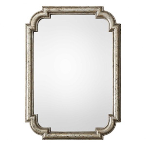 Calanna  - 45.25 inch Mirror - 32.75 inches wide by 2.25 inches deep