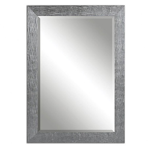 Tarek - 41.88 inch Mirror - 29.88 inches wide by 0.88 inches deep