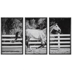 Galloping Forward - Framed Print (Set of 3)-35 Inches Tall and 21 Inches Wide