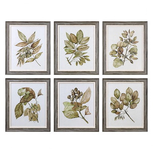 Seedlings - 24.13 inch Framed Print (Set of 6) - 20.13 inches wide by 1.25 inches deep
