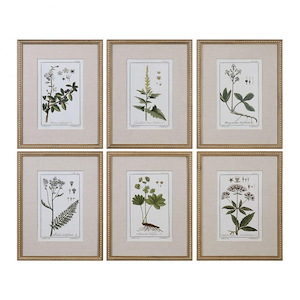 Green Floral Botanical Study - 22.63 inch Floral Print (Set of 6) - 17.63 inches wide by 1.5 inches deep