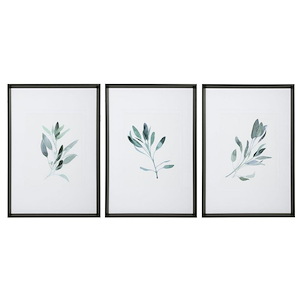 Simple Sage - 36.5 inch Watercolor Print (Set of 3) - 25.5 inches wide by 2 inches deep