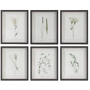 Forest Finds - Framed Wall Decor (Set of 6)-22 Inches Tall and 18 Inches Wide