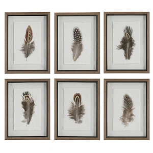 Birds Of A Feather - Framed Wall Decor (Set of 6)-20 Inches Tall and 15 Inches Wide