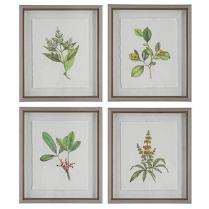 Wildflower Study - Framed Wall Decor (Set of 4)-22 Inches Tall and 19 Inches Wide