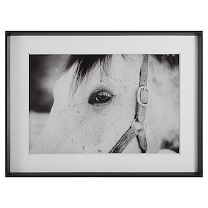 Eye Of The Beholder - Framed Print-34.25 Inches Tall and 46.25 Inches Wide