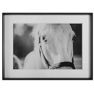Eyes On The Prize - Framed Print-34.25 Inches Tall and 46.25 Inches Wide