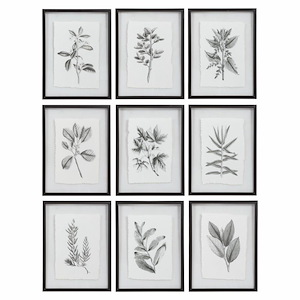 Farmhouse Florals - 23 Inch Framed Print (Set of 9) - 17.5 inches wide by 0.75 inches deep